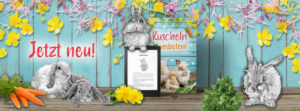 Kuscheln verboten! – der neue Roman von Janina Venn-Rosky mit zahlreichen Kaninchenillustrationen