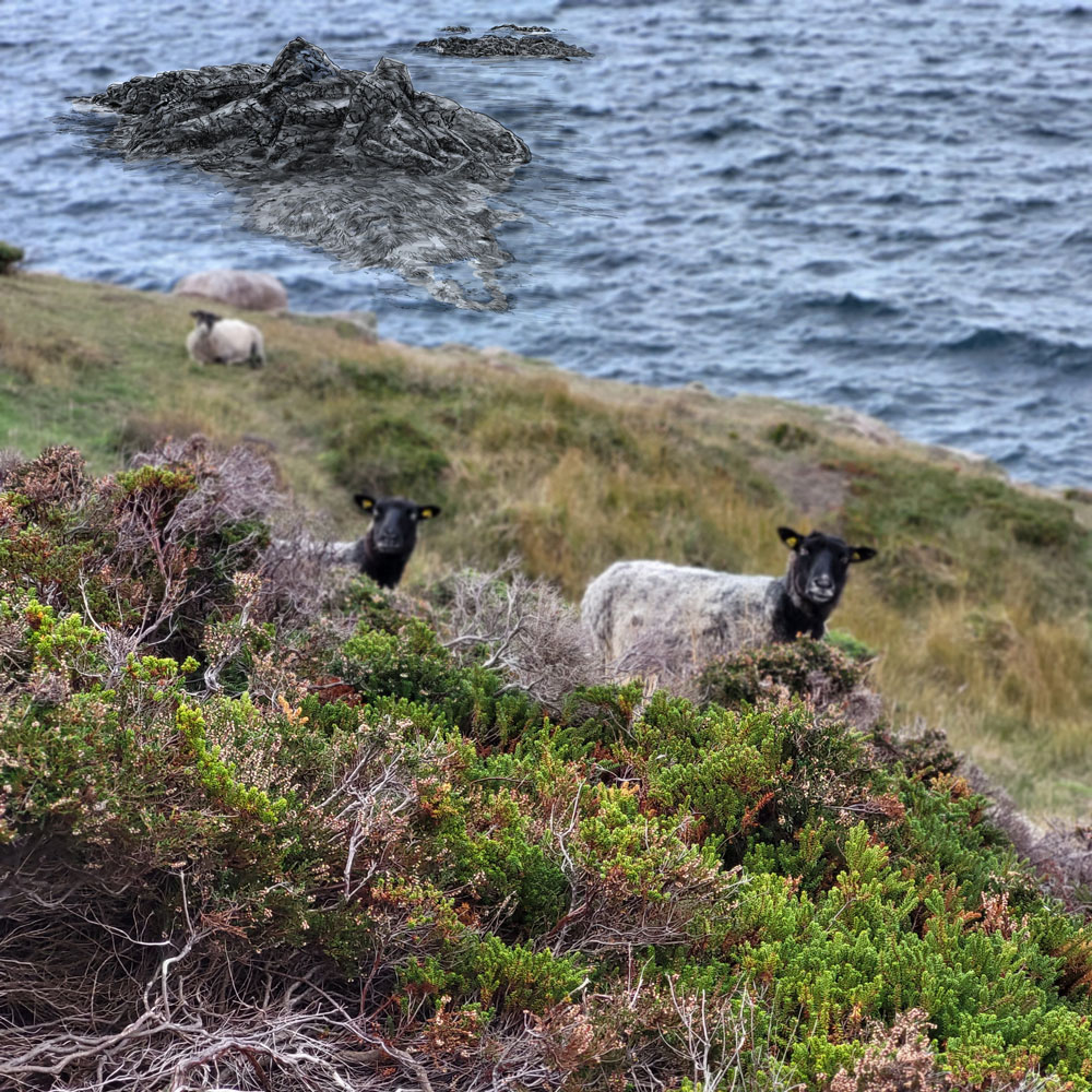 Inselglück und Kräuterträume: Pia liebt den Forstexperten Morten, die Ostseeinsel Bornholm und Schafe.