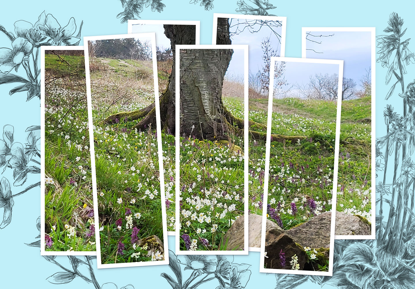 Inselglück und Kräuterküsse: eine Geschichte für Garten- und Naturliebhaber